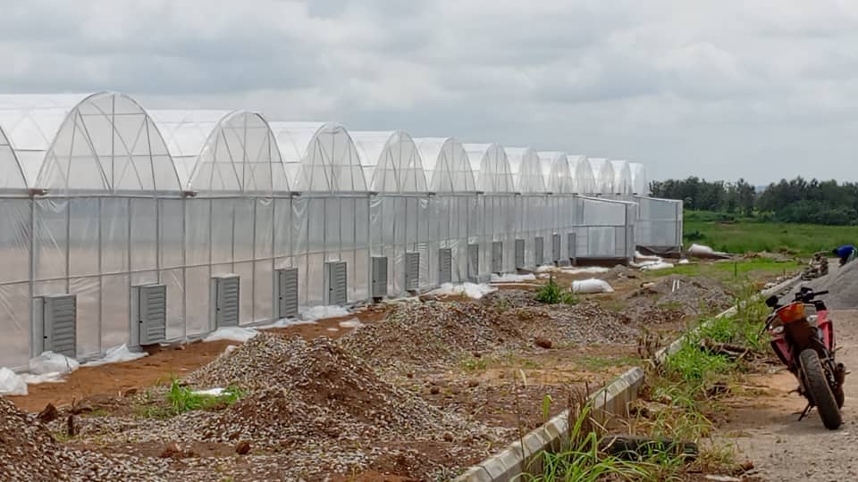 Greenhouse Solutions